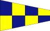 Negative Signal Vector Flag 