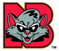 New Britain Rock Cats 