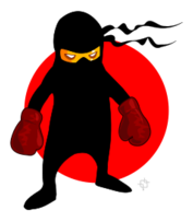 Ninja Boxer Preview
