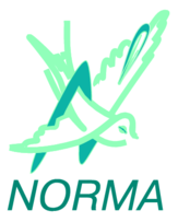 Norma