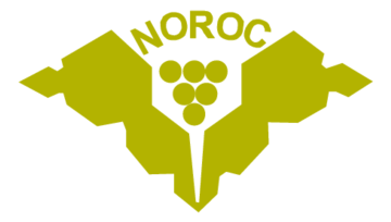 Noroc Moldova Preview