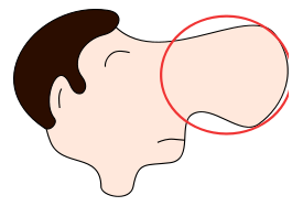 Human - Nose 