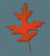 Nature - Oak Leaf Autumn clip art 
