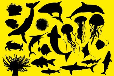 Ocean Animals Vector Silhouettes Preview