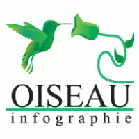 Design - Oiseau Infographie 