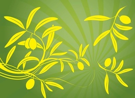 Olive Branch Vector