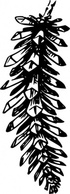 Open Pine Cone clip art Preview