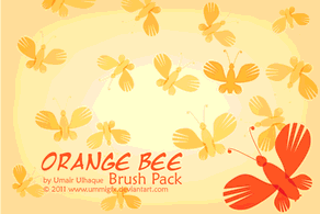 Illustrator Brushes - Orange Bee Brush 