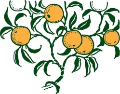 Flowers & Trees - Orange Branch clip art 