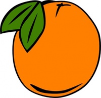 Orange clip art 