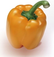 Orange Pepper