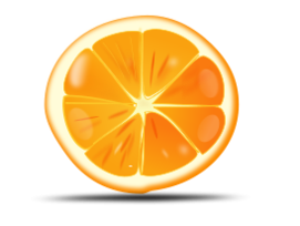 Orange Slice