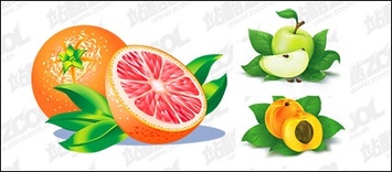 Oranges, apples, Peach vector material