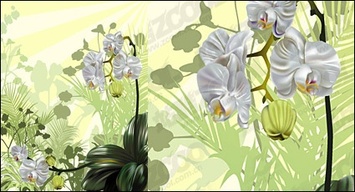 Orchid vector illustration material 