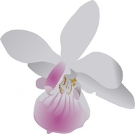 Orchidea clip art Preview