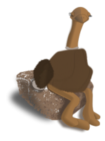 Ostrich