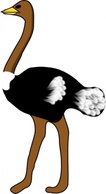 Ostrich clip art 