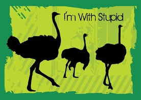 Animals - Ostrich Vectors 