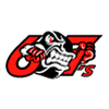 Ottawa 67's