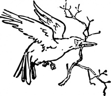 Animals - Outline Carrying A Branch clip art 