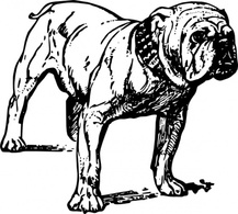 Animals - Outline Dog Bulldog Lineart Pet Animal Papapishu Bw 