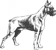 Animals - Outline Dog Lineart Pet Animal Mammal Boxer 