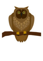 Animals - Owl 