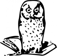 Owl On Book clip art