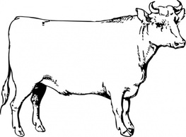 Animals - Ox clip art 