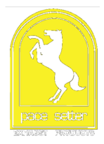 Pace Setter 