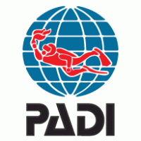 Padi