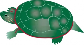 Painted Turtle clip art