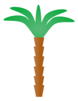 Palm