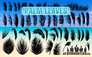 Palm Leaves 