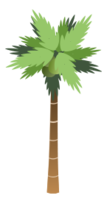 Palm Tree