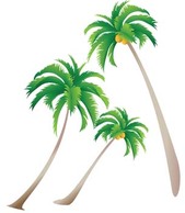 Palm tree 3