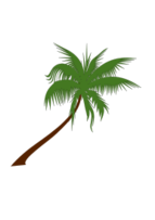 Flowers & Trees - Palm Tree 