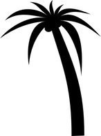 Flowers & Trees - Palm Tree clip art 