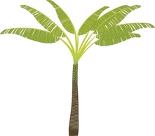 Flowers & Trees - Palm Tree clip art 