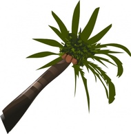 Flowers & Trees - Palm Tree clip art 