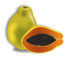 Papaya