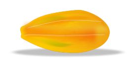 Food - Papaya 