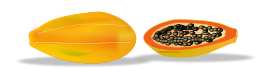 Papaya Sliced Preview