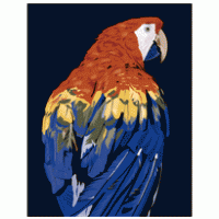 Parrot 2