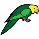 Animals - Parrot Free Vector Image 