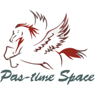 Pas-time Space