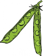 Pea Pod clip art 