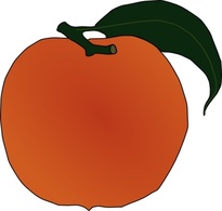 Peach clip art