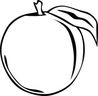 Peach clip art