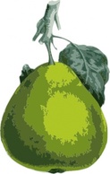 Food - Pear clip art 